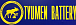 TYUMEN BATTERY